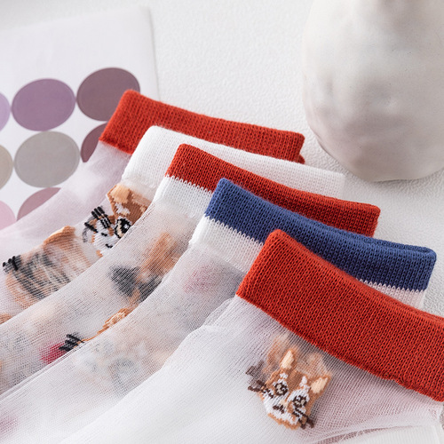 Summer glass silk women's socks kitten breathable crystal socks ins trendy shallow mouth breathable invisible socks manufacturer wholesale