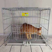 ?�Ӵֿ��ጙ��\��С��Ȯ̩�Ϲ��\���ۯB����\ͨ��؈�\�u��