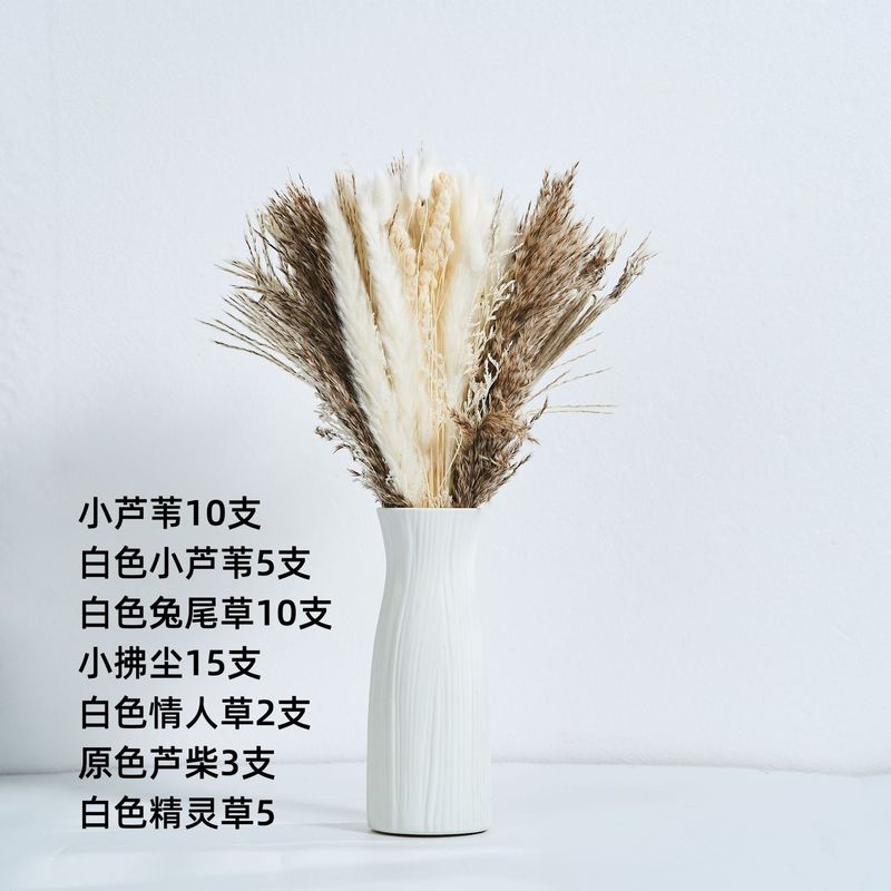 アマゾンはよく売れています。葦の花の花束です。|undefined