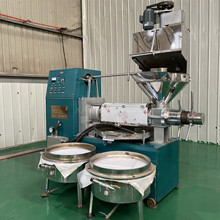 大型全自动榨油机自动上料螺旋榨油机 棉籽核桃油榨油机全套设备