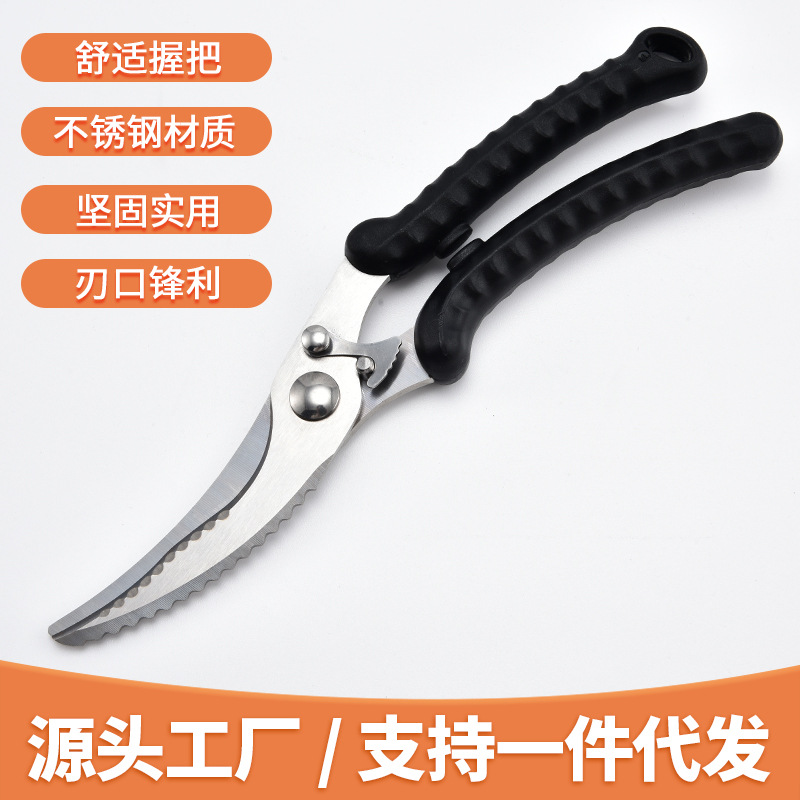 Removable scissors