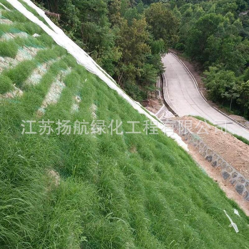 O1CN01KnXt2527LI8eAaGQ9_!!2212