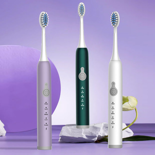Electric Toothbrush Adult Home Smart Couple Rechargeable Waterproof Automatic Student Soft Bristle Toothbrush Convenient