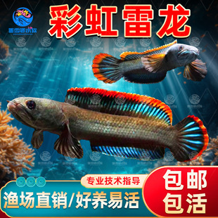 ���k�����~�^�p�~��ˮ�~�tβ���~�����߲�������ˮ���w�ʺ������~