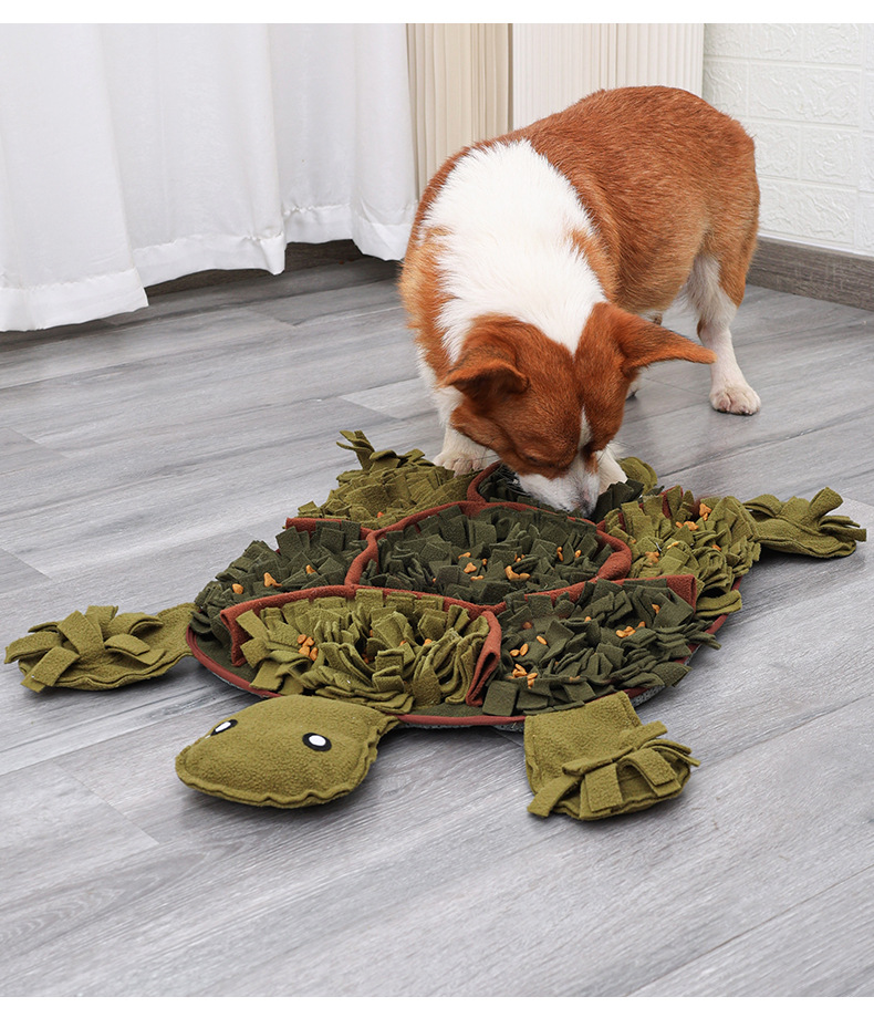 Interactive Pet Training