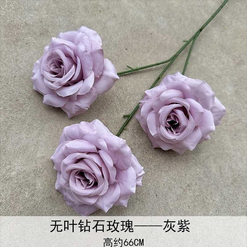 Rosa de diamante sin hoja Grey Purple