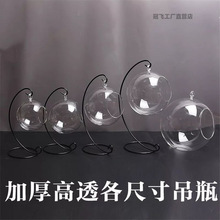 透明高硼硅玻璃吊瓶 创意苔藓微景观玻璃瓶微观DIY盆栽生态瓶子