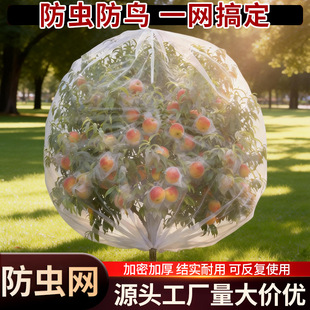 ������x�W�־W�������{ݮ��÷���@���֔r�B�W���ϻ����B���þW