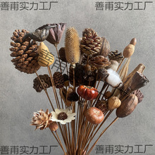 ���U�ʾ��ɹ����ﻨ�ɹ�ɏ���^�廨�����޻��͏dd����[���b�