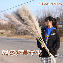 �JȔ�ɻ�����͏d��ػ�ƿ���W�L��zӰ���ߙ���չʾ��ꐲ�����ɫ