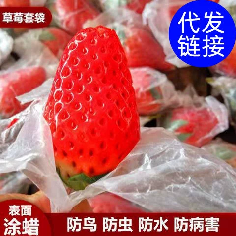 Клубничная сумка с защитой от насекомых Сумка с вишней Сумка с фруктовым воском Сумка с вишней Сумка с защитой от птиц Водонепроницаемая специальная сумка с защитой от болезней