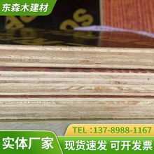 定制大小桉木膠合板多規格紅色建築模板木模板多層木板材