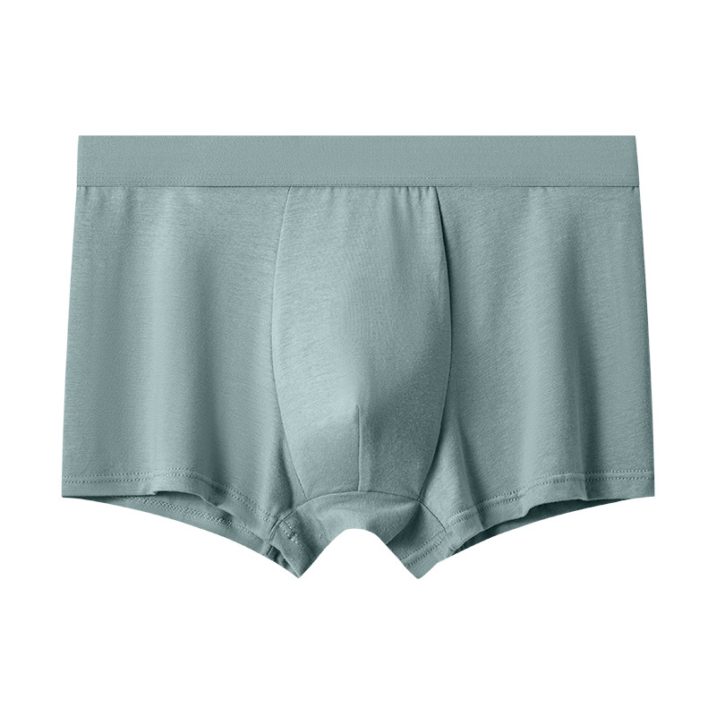 Pantalones interiores de hombre otoño y invierno hombre respirable entrepierna explosión de estilo cómodo de tamaño grande quads simple respirable corto de ángulo plano cabeza al por mayor