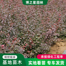 t~СlͥԺGhرֲ﹤̾Gľt~СС