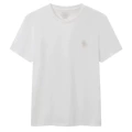 Round collar small colorful horse white
