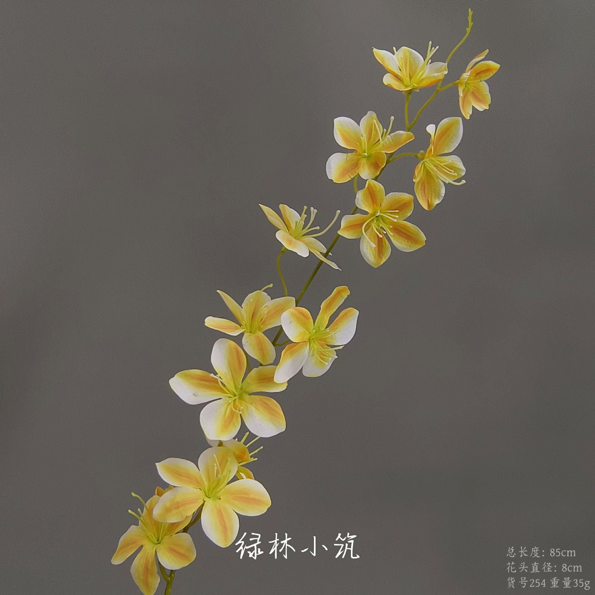 품목 번호 254-단일 베고니아 꽃