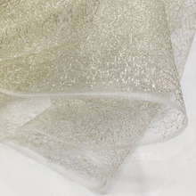 ���y���o���y�W�Ứ�W������ ��z�y�z�W�� �b����Ů�b�W��