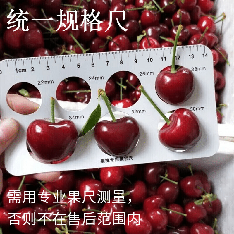 Sf Express Free Shipping Freshly Picked Meizao Big Cherries Dalian Domestic Cherry Fresh Fruit Free Shipping 2.5kg Gift Box Set