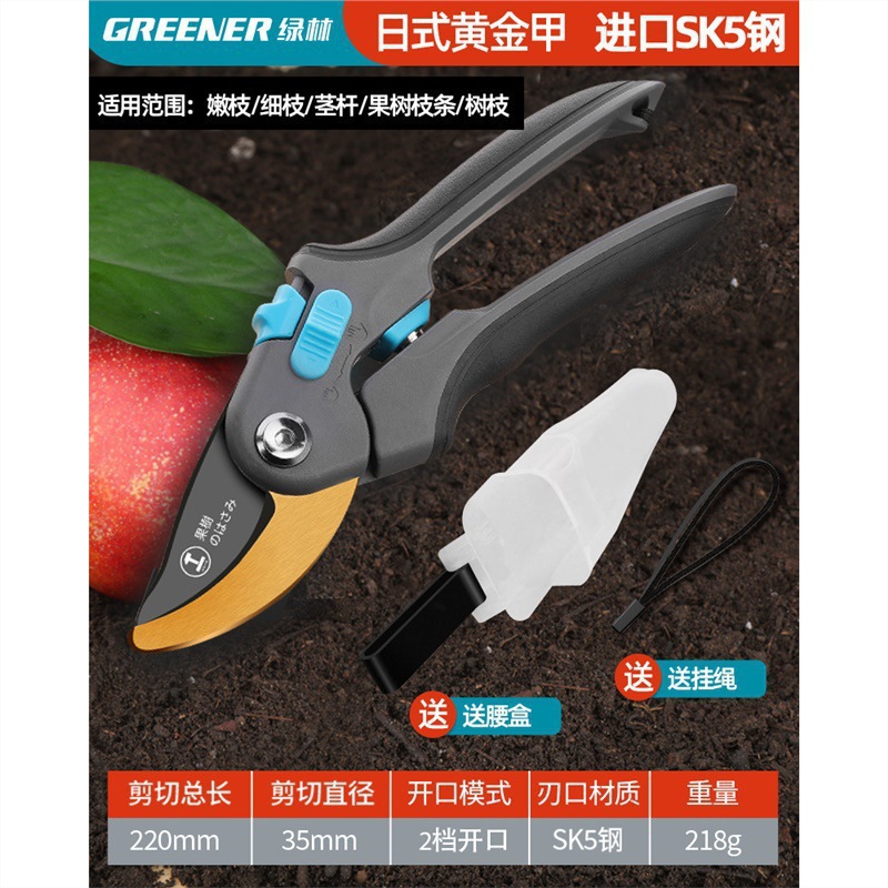 Tijeras florales Artesanía alemana Ramas de frutas Tijeras de ramas Cuchillos Tijeras de poda Bosque verde Jardinería Poda importada Envío gratis