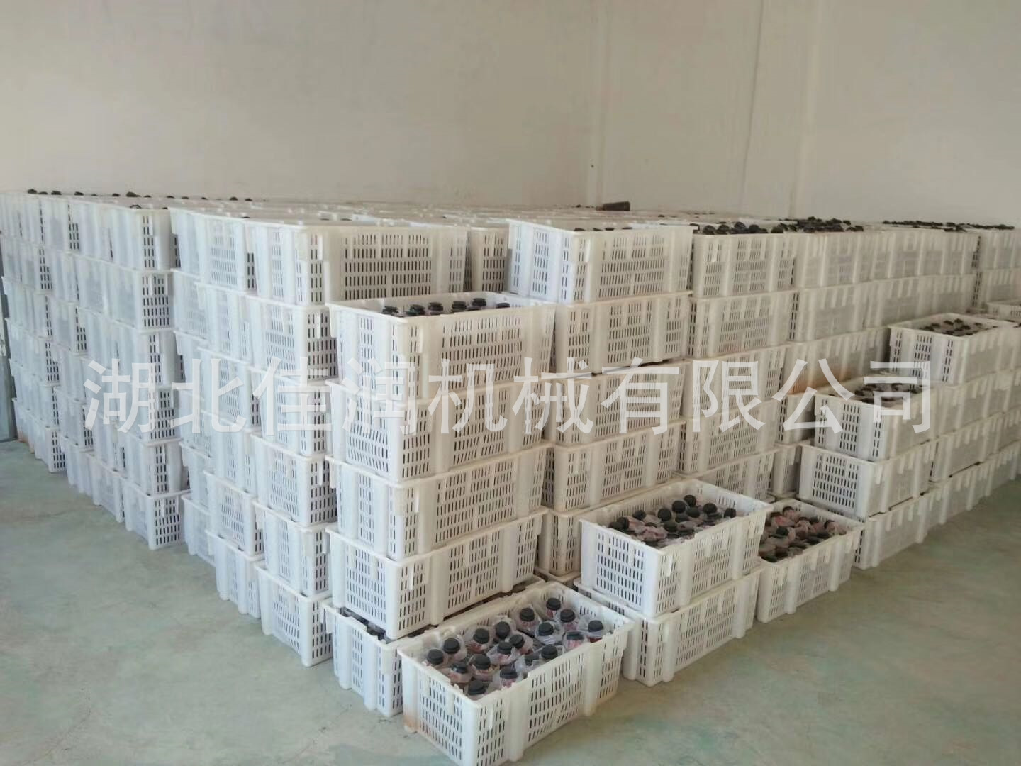 食用菌聚丙烯菌棒高温蒸汽筐平菇香菇塑料栽培筐