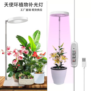 ȫ���VLEDֲ���a��� ����s���r�{���҃ȶ��⻨�����L�����S�F؛