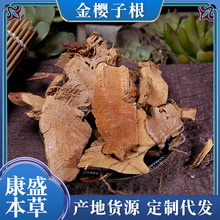 现货供应金樱子根批发金樱子根无阳枝脱骨丹金英根