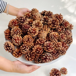 ���ɹ�100����ϳߴ����Сdiy�b��ɹ����׃��@�}�Q�ɹ�