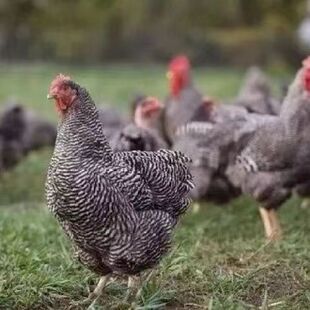 С�u������J���u�������J���u����w1�����u��С�u�����l����