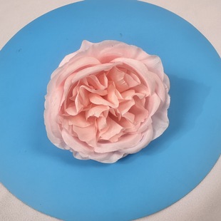 ���滨�^�W˹͡õ�廨�^ֱ���s9.5cm��c������Y�Ñc��Ҿ��b�