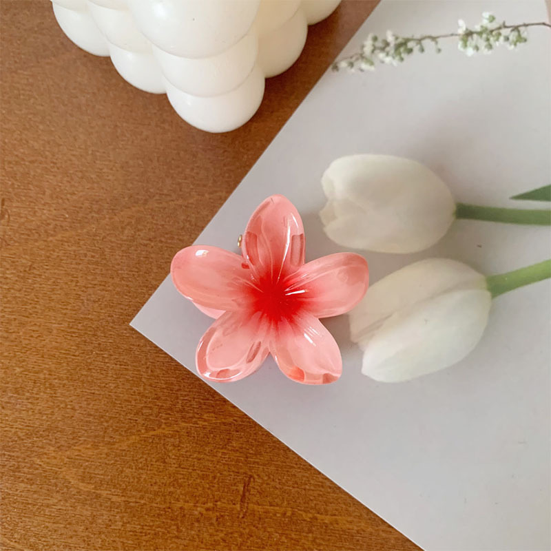 4CMの卵の花は国境を越えて熱売します。|undefined