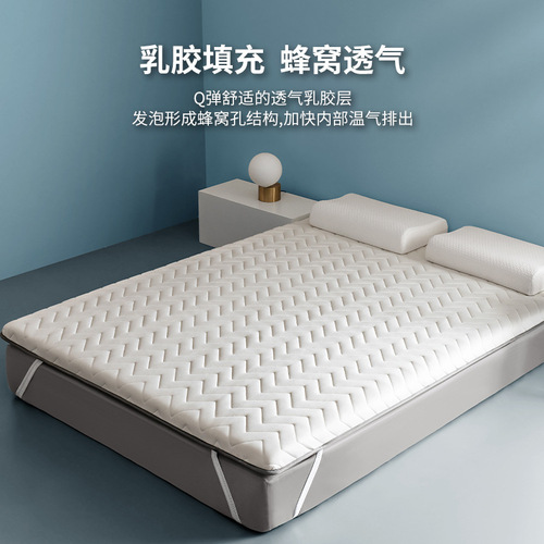 Latex mattress rental soft pad home use double-layered tatami sleeping mat bedding for student dormitory single pad quilt