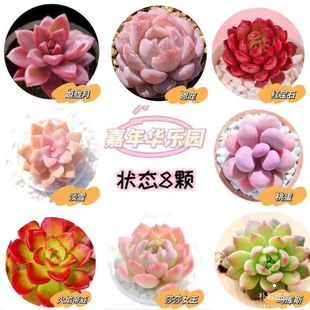 ֲȺGֲ҃׻BؔMMҵ¶{B