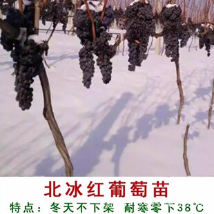 �����t���ј���ᄾ����ј��綬�첻�¼�ͥԺ�����ͺ�ɽ����ˮ����