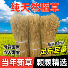 新天然干稻草秸秆稻草屋顶装饰草帘子稻柴草绳谷草做霉豆腐的堡仕