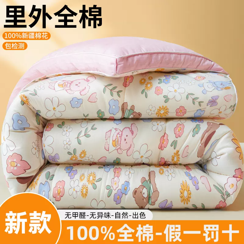 2025新款全棉100%新疆棉花款小清新立体冬被学生被子被芯