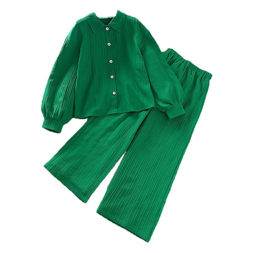 Amazon Ropa para niños europeos y americanos 25 primavera nuevo estilo para niños solapa camisa de manga larga pantalones superior traje transfronterizo para niñas