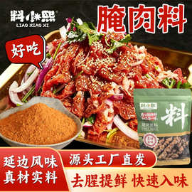 【麻辣腌肉专用料】牛羊肉祛腥提味嫩肉锁鲜烧烤店小吃摊同款调料