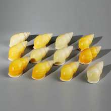 ��Ȼ����ؐ���Sɫ�������~���b�ˮ���쾰�ղؘ˱��ľ�з��Q��