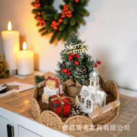 编织托盘圆形带手柄水果零食托盘客厅装饰咖啡杯盘化妆品储物盘