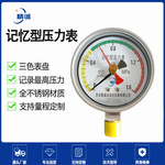 Ǳ ѹY-100BJ ѹ쳧 ȫֲ