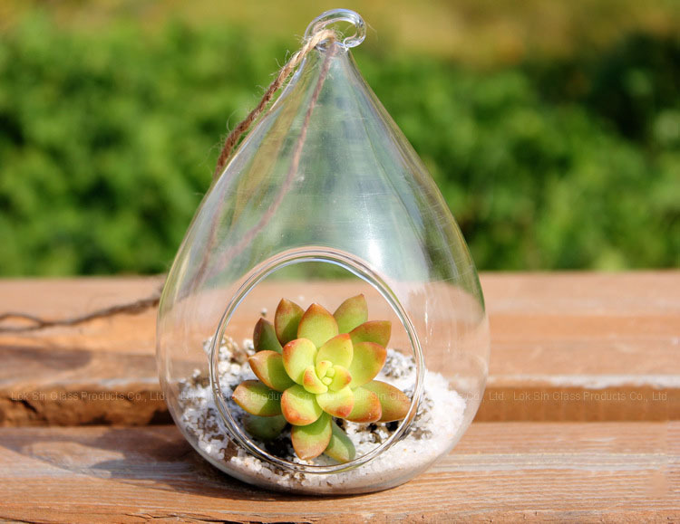 Florero de vidrio colgante planta suculenta florero creativo hidropónico flor Ware decoración del hogar artesanía