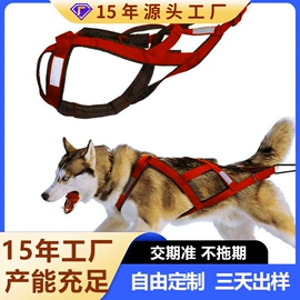 狗狗服装;狗狗牵引