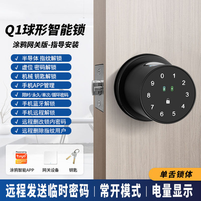 爆款跨境指纹密码锁 涂鸦智能锁 卧室房间分体门锁办公室球形锁