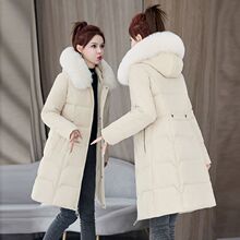 2025�¿������Bñ��ůŮ���L��Ӻ��@����q�޷��������\��������