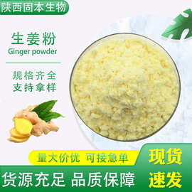 生姜粉 水溶生姜粉 生姜提取物 姜辣素 生姜浓缩喷雾粉 现货包邮