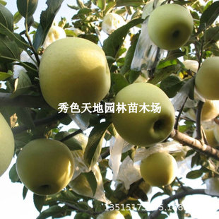 �O������޽����ع��O�������ش�����ϱ������Ե���ͥԺ����Y��