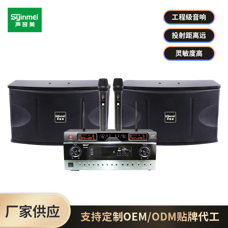 10寸KTV音响套装家庭卡拉OK音响家庭影院音响会议室音响酒吧音响