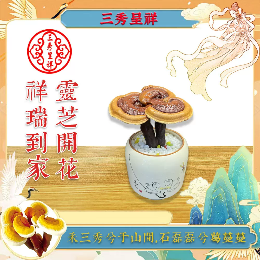 三秀呈祥自然培育灵芝花观赏食用成熟采摘摘下diy工艺盆景制作