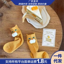 ���wë��؈�䳱��Ͳ�m���ﶬ��ͯ�m��2025�����m����Ůͯ��ͯ�ɐ�