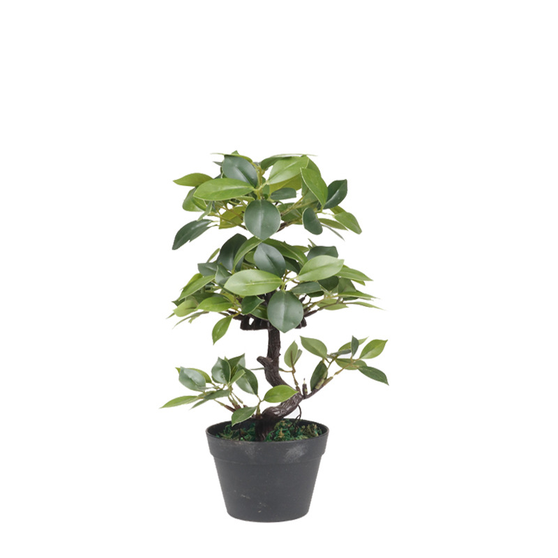 simulation Botany Birch Potted plant Mini 6 engineering Museum Scenery shot wholesale